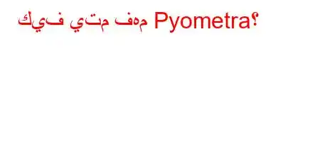 كيف يتم فهم Pyometra؟